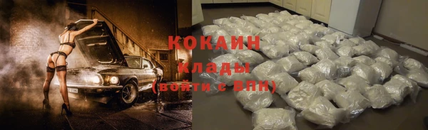дживик Навашино