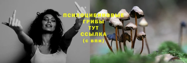 дживик Навашино